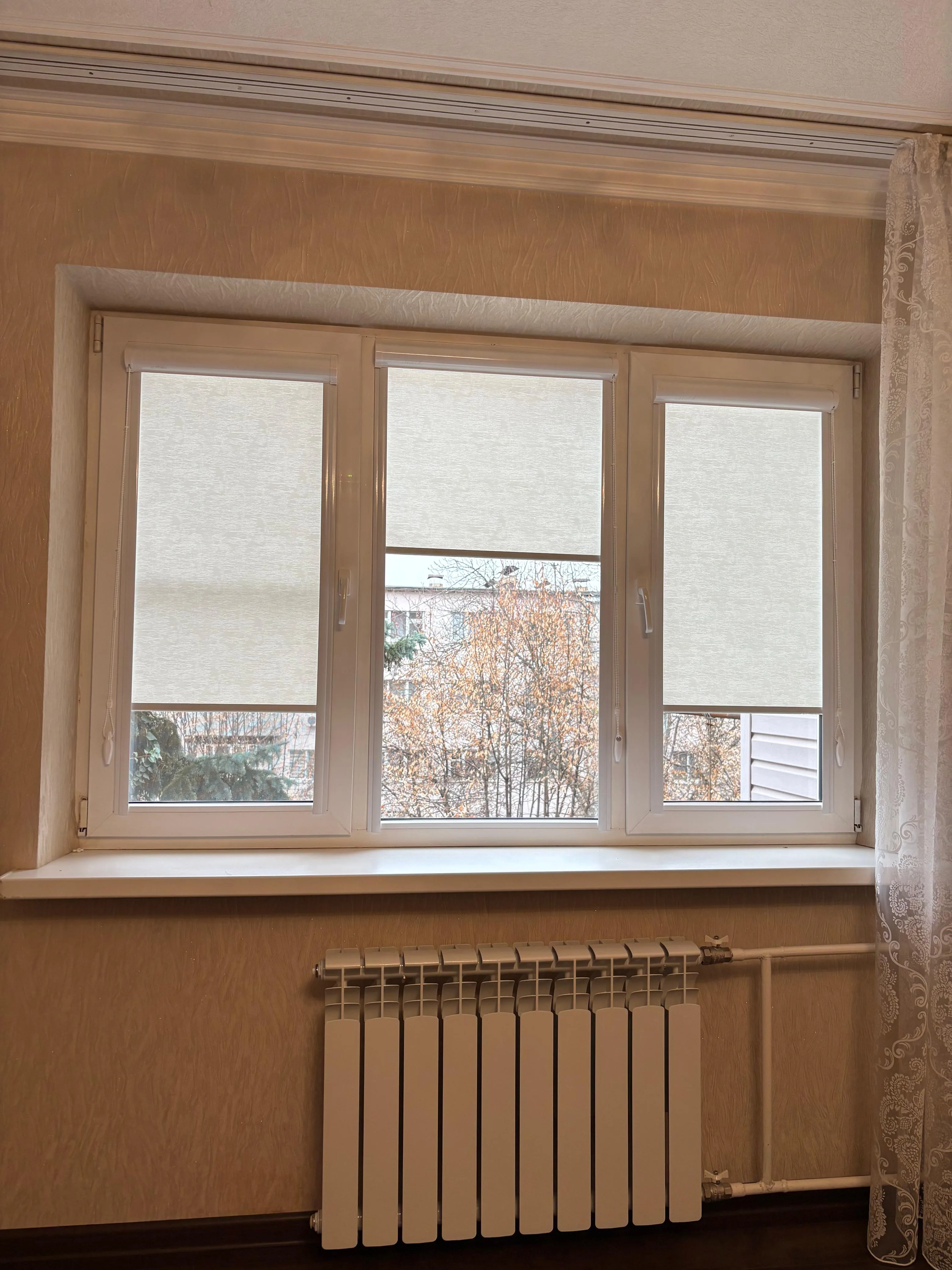 Рулонные шторы 59 в Нальчике и КБР на заказ